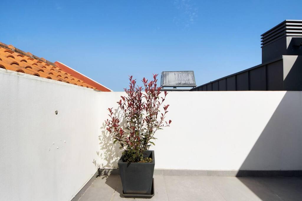 Apartament Sao Roque Sweet Burgo Aveiro Zewnętrze zdjęcie